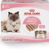 Royal Canin Feline Health Nutrition Mother & Babycat Ultra Soft Mousse in Sauce Wet Canned Cat Food, Supports Healthy Digestion and Brain Development, 3 oz, 6 Pack